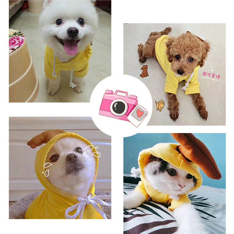 Fruit Hoodie Dog Clothes
