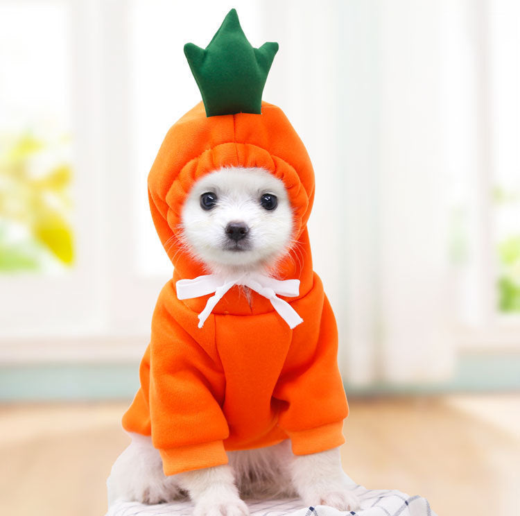 Fruit Hoodie Dog Clothes