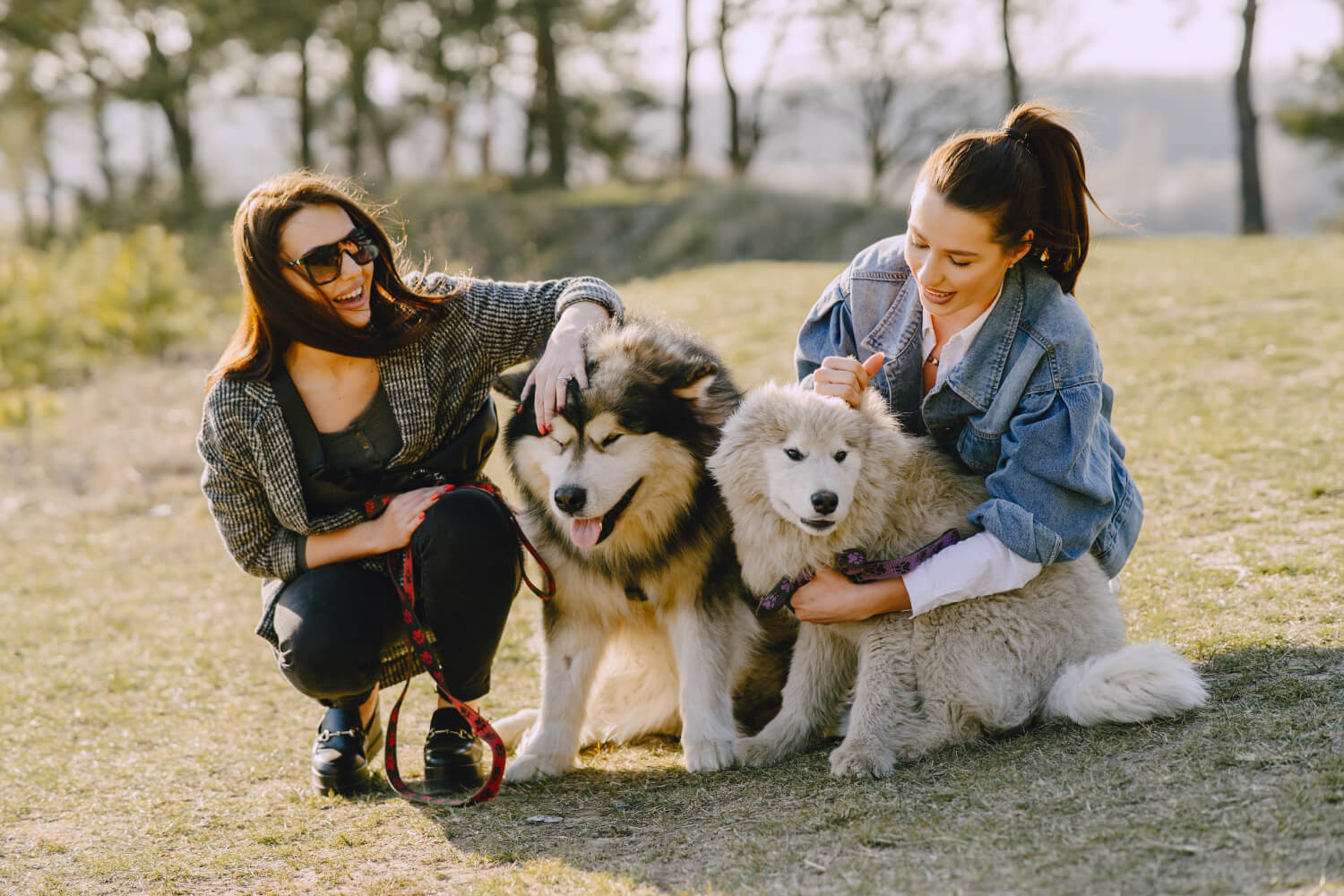 Two women with two dogs in a park setting