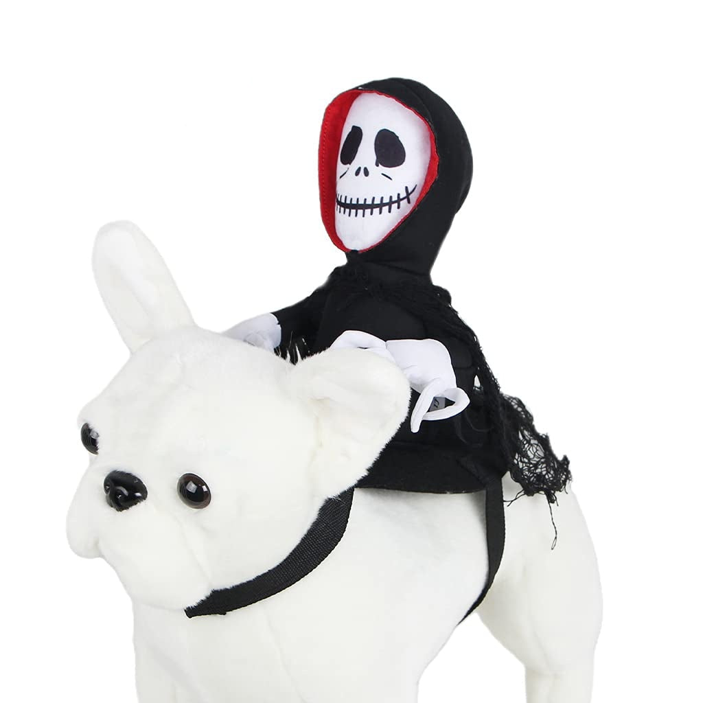 Groom Glory  Funny Halloween Pet Costume – Spider, Pumpkin, or Goblin Rider Cosplay Outfit for Dogs & Cats