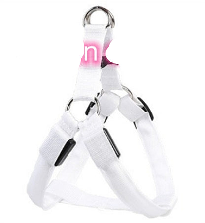 Groom Glory LED Light-Up Dog Harness